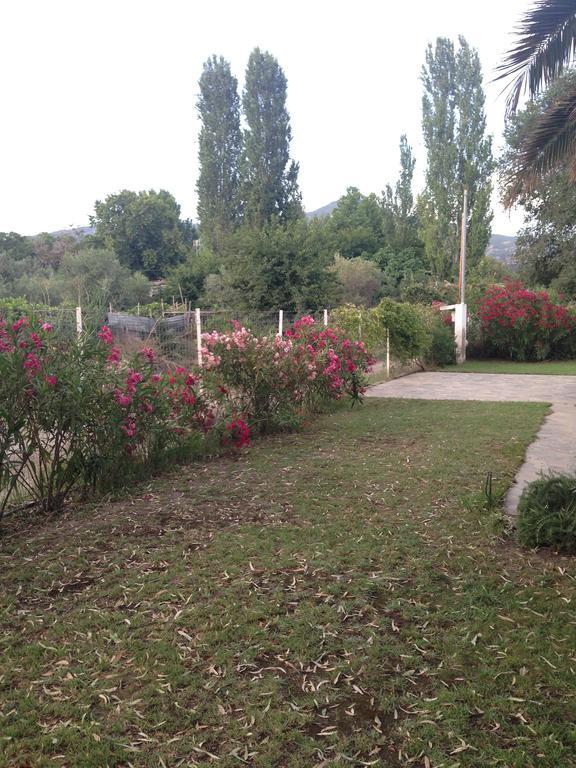 Villa Niki Neos Marmaras Dış mekan fotoğraf