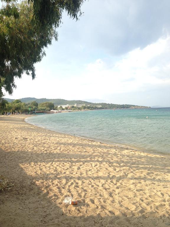 Villa Niki Neos Marmaras Dış mekan fotoğraf